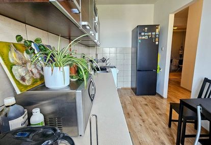 Wrocław śródmieście nadodrze 2 pokoje rozkład