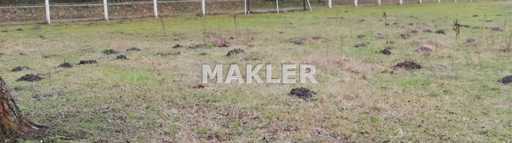 Działka pod lasem - tarkowo  dolne