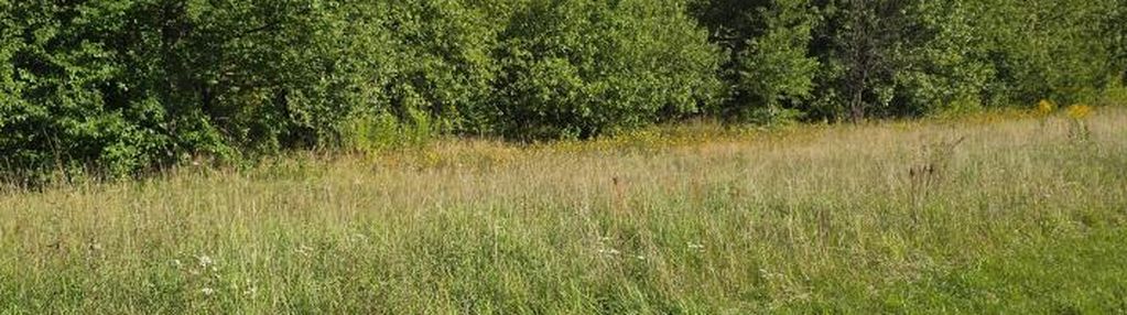 Do sprzedaży 40 działek budowlanych od 1000 m2