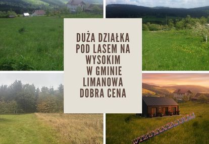 Wysokie gmina limanowa działka widokowa pod lasem – beskid wyspowy, 17,61 ara