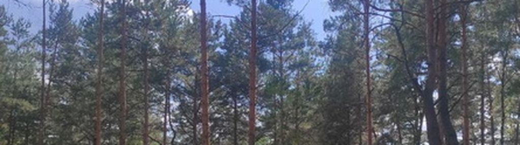 Działka dla miłośników natury i spokoju, radzymin