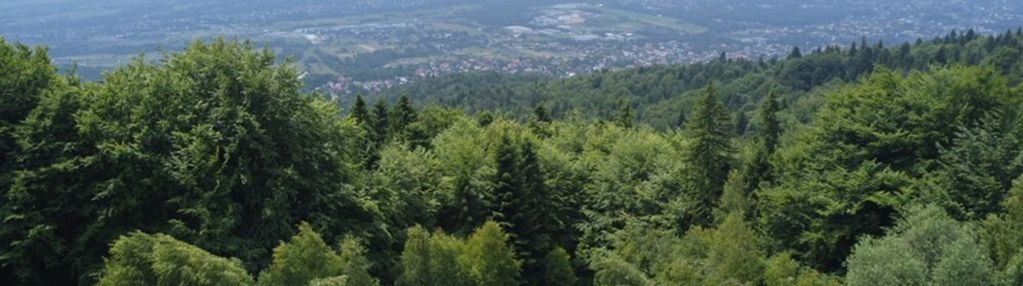 Wzgórze, las i przestrzeń – twoje miejsce w górach