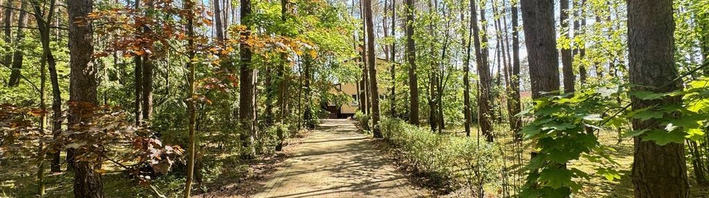 Działka 2581m2 dom 100m2 w lesie