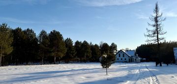 Osowiec czysta z utwardzonym dojazdem 0% prowizji