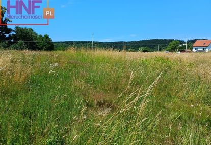 Działka 7,64ar paszyn