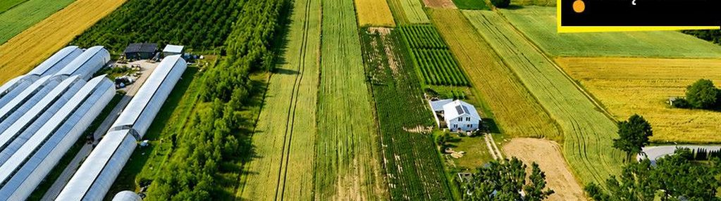 Okazja! działka 13 900 m² - 7,12 zł/m2 . niemścice