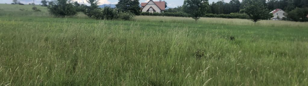 Wyjątkowe miejsce na twój nowy dom