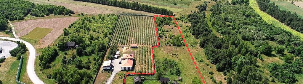 Działka inwestycyjna przy s8, 1,0285 ha, podlas