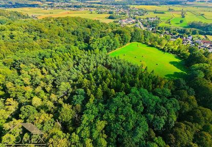 Las i łąka na sprzedaż | bełsznica
