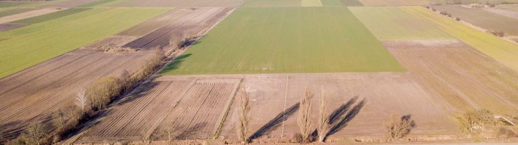 Działka siedliskowa, tereny leśne w pobliżu
