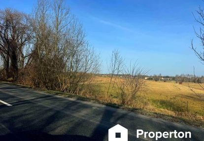 Opole lubelskie – duża działka rolna 4 822 m²