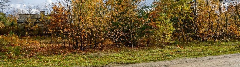 Działka 1209m2 (udział 1/2), milanówek