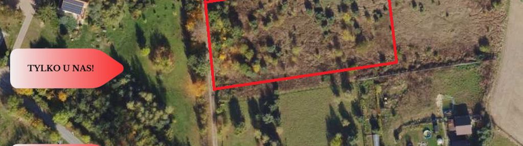 Morzewiec 3260m2, wydane wz, cisza, spokój