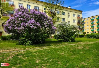 Osiedle leśne 3 pokojowe mieszkanie dwa balkony