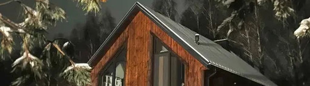 Nowoczesny dom w otoczeniu lasu.