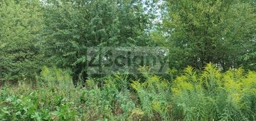 Działka prawie w lesie młochowskim