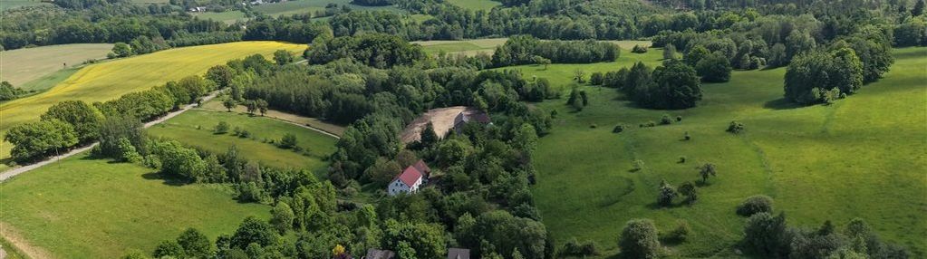 Dom na działce 6024 m² z potencjałem inwestycyjnym