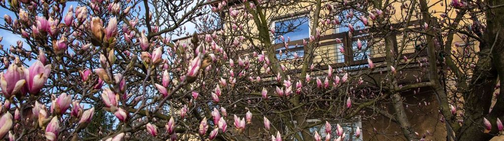 Bochnia mieszkanie 80 m własny garaż, altanka 7 ar