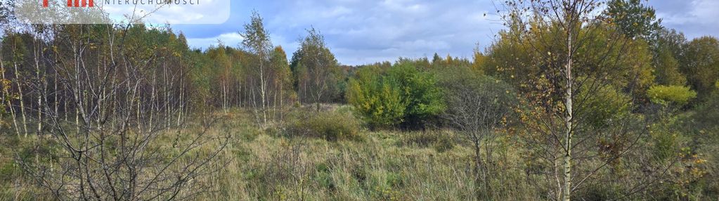 Malownicze działki budowlane – mierzeszyn