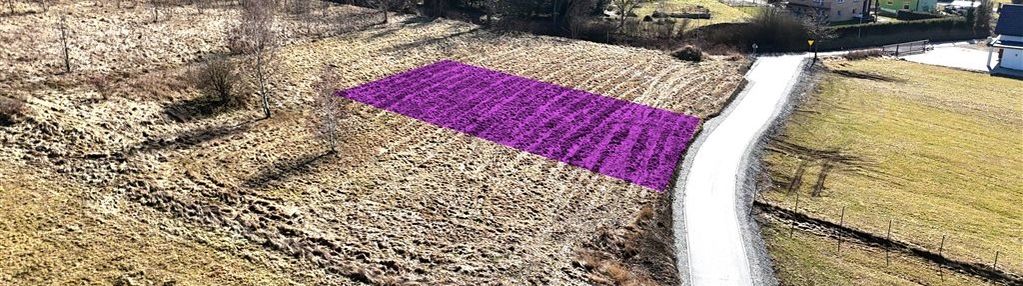 Działka z wz w sędzisławiu