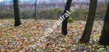 Działka usługowa blisko  stacji wkd