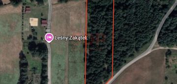 Spokój, natura, potencjał – 1,7 ha działki!
