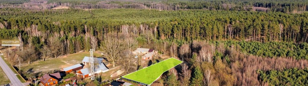 Działka budowlana w sąsiedztwie lasu