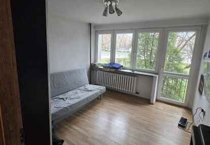 Kawalerka na włochach