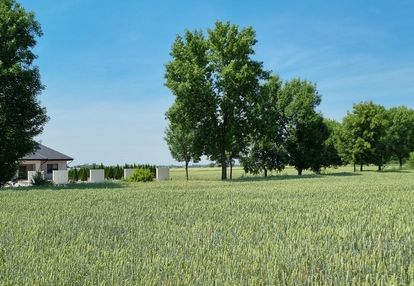 Działka budowlana 12 ar jarosław łazy kostkowskie