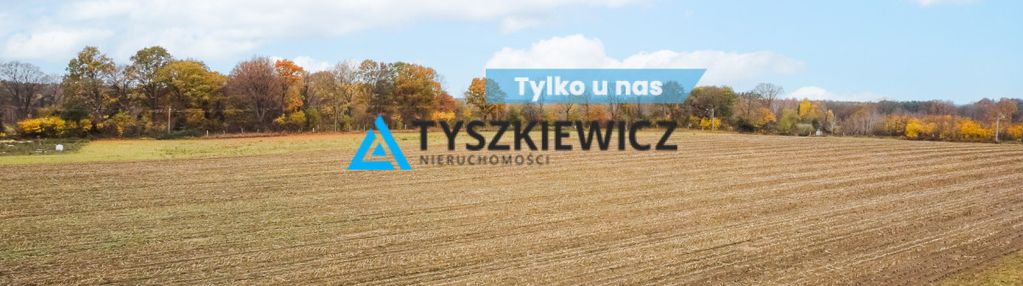 Działka szczenurze  gmina wicko