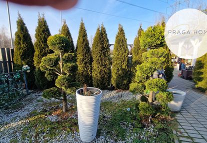Działka 2000 m2 sulejówek z domem sulejówek