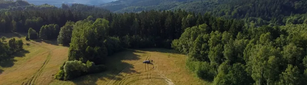 Działka na sprzedaż 3000m2