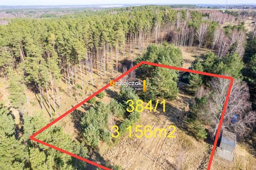 Domek nad morzem | las | sasino | 3 156m2 działka