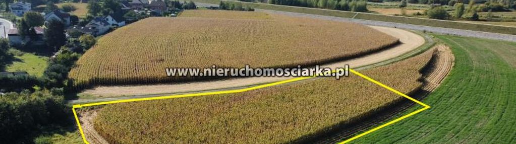 Działka rolna 45 arów buków