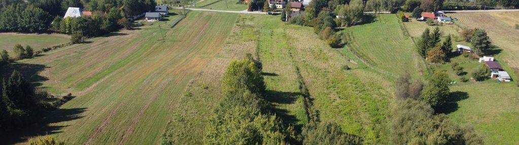 Duża i urokliwa działka w dąbrówce szczepanowskiej