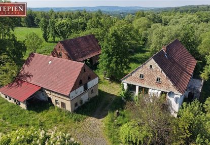 Gospodarstwo w zabudowie zagrodowej