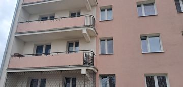 ładny rozkład,