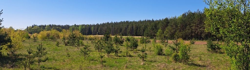 Działka budowlana, dalny las, płaska, las