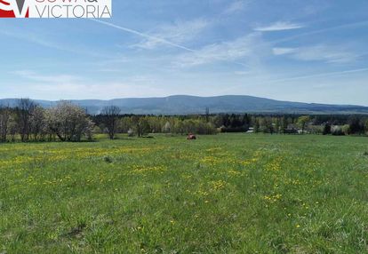 Duża działka rolna z wydanymi wz z panoramą gór