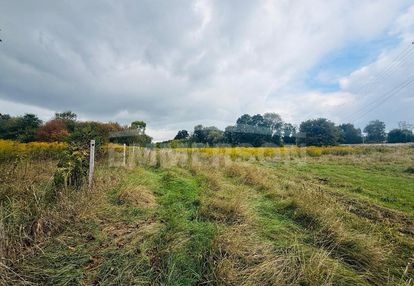 5300m2/możliwy podział/inwestycyjna