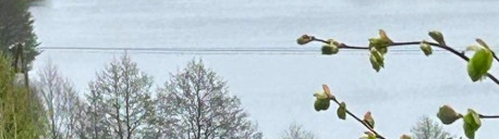 Parchowo - działki rolne pomiędzy dwoma jeziorami