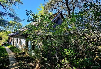 Siedlisko-  rzepiennik biskupi- małopolska