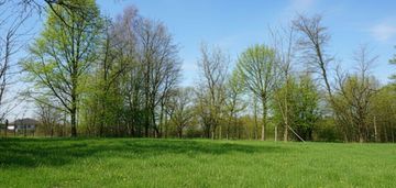 Działka budowlana z potencjałem – jejkowice