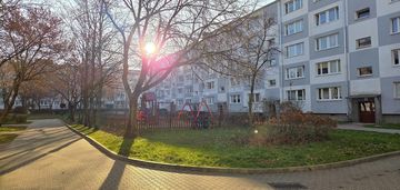 Wygodne mieszkanie na piątkowie!