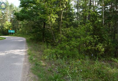 Karakule, działka leśna