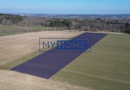 Działka rolna krzewie małe