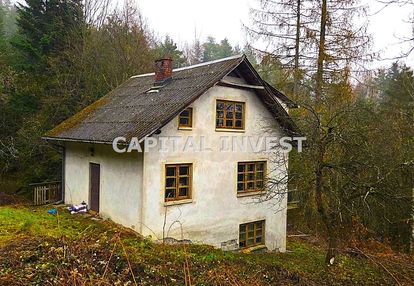 Dom w lesie nad jeziorem