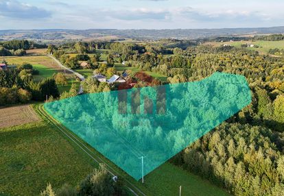 1,47 ha, wz! dom w lesie? biznes? jedyna taka!