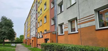 Mieszkanie w Centrum - 49m2 - 3 pokoje