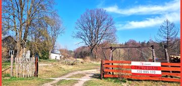 Urokliwa działka z linią brzegową rzeki prusiny.